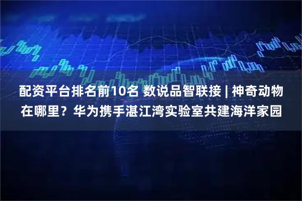 配资平台排名前10名 数说品智联接 | 神奇动物在哪里？华为携手湛江湾实验室共建海洋家园